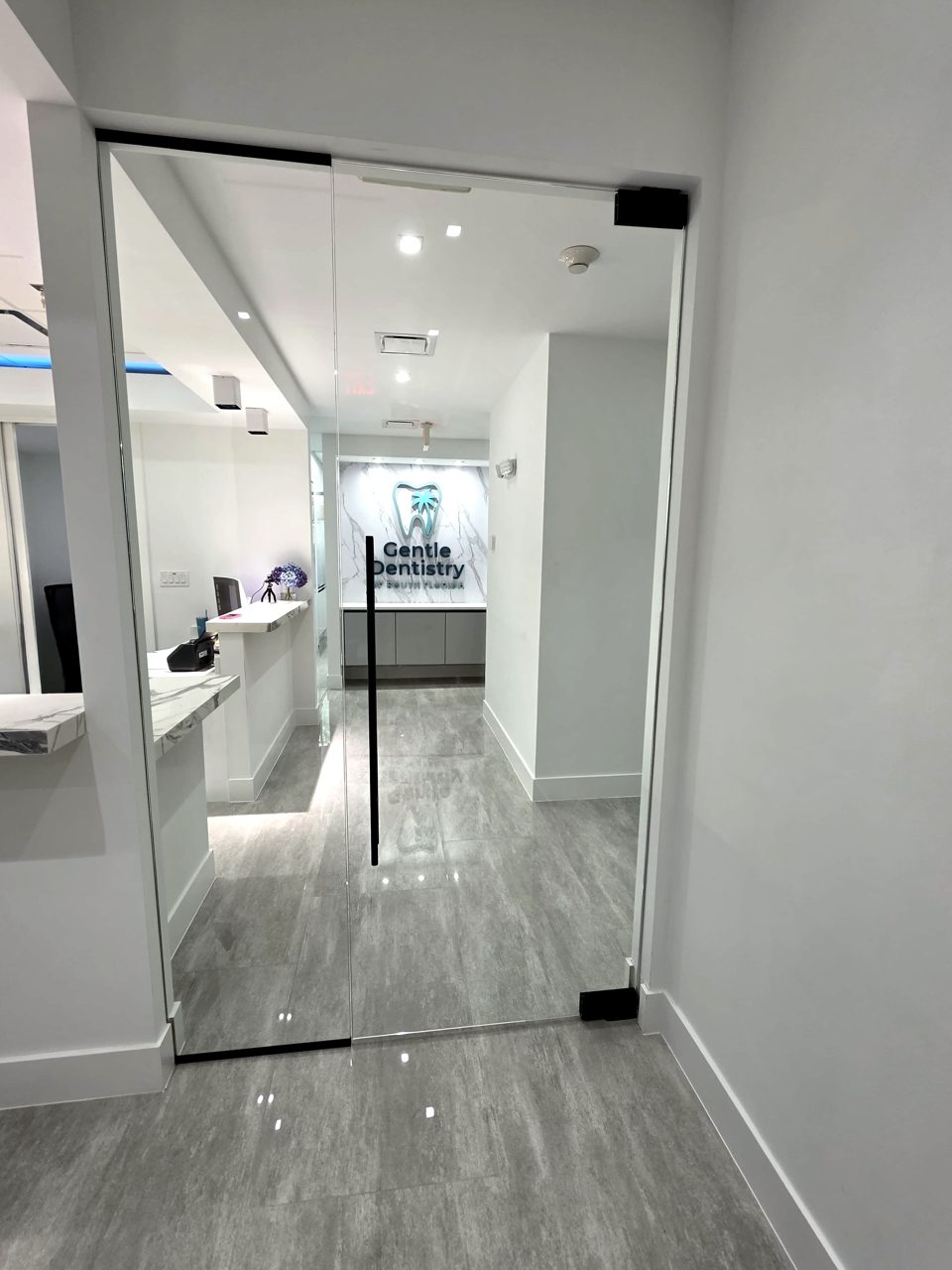 Frameless glass wall and door